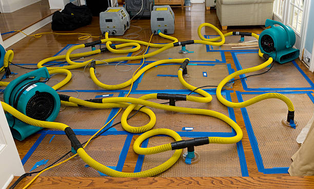 Professional Crawl Space Water Removal technician working in White Oak, WV